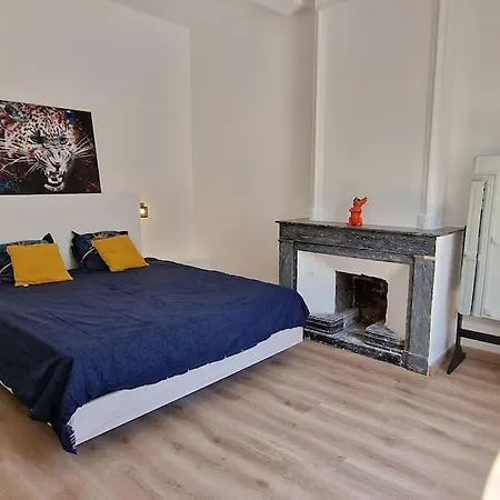 Apartment Le Loft Du Theatre