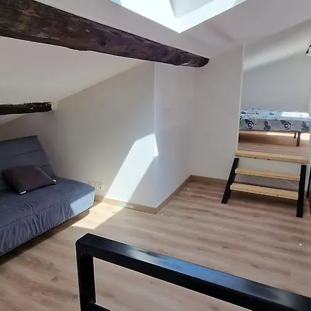 Apartment Le Loft Du Theatre Montelimar